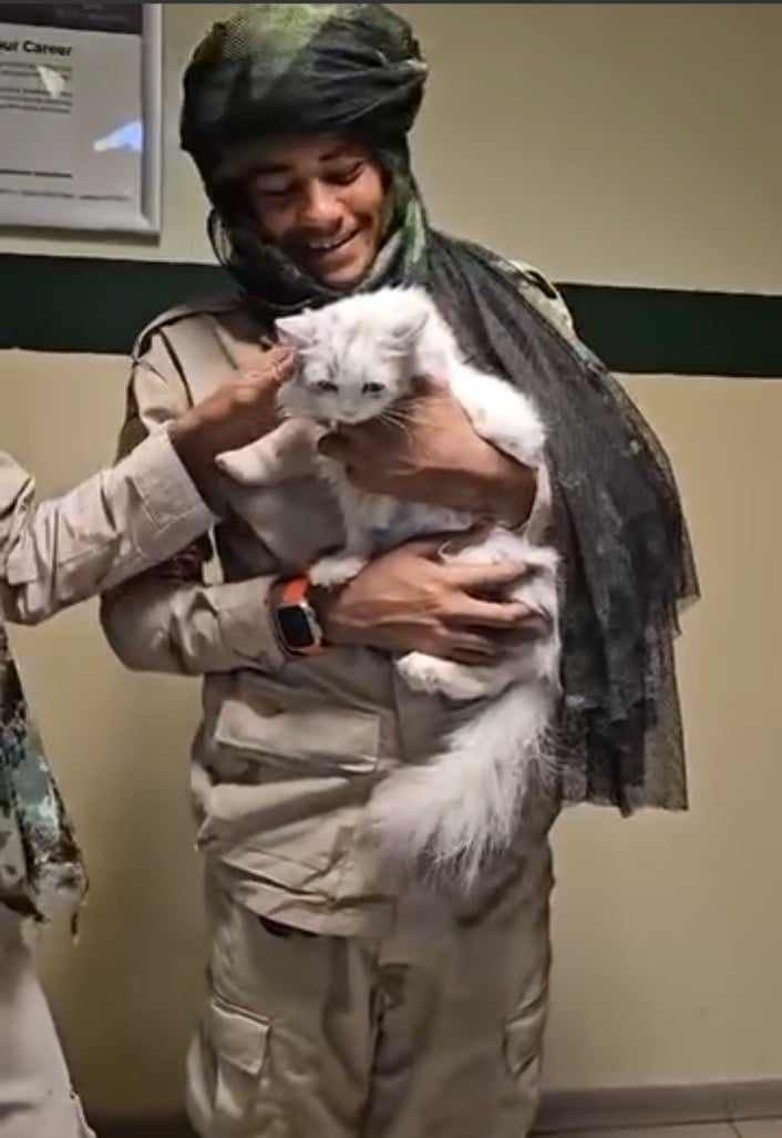 شاهد بالصورة والفيديو.. “كديسة” لوشي النادرة غالية الثمن في قبضة “الدعامة” بعد أن عثروا عليها في إحدى العمارات التي اقتحموها.. يداعبونها ويلعبون معها (شوفوها سمينة كيف نحنا كديستنا ليها شهرين تأكل ما بقت كدة)