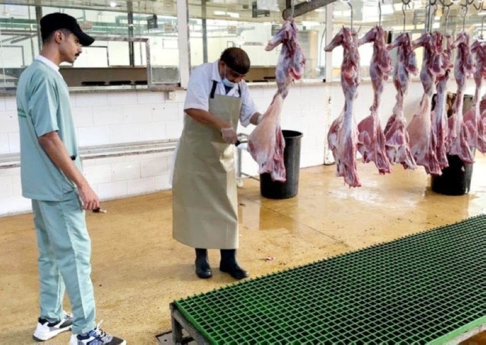 "البيئة" تكشف.. ما الجديد في مشروع دراسة أسواق النفع العام والمسالخ؟