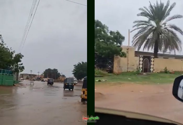 والي النيل الأبيض: جميع أهل الولاية معنيين بالمقاومة الشعبية