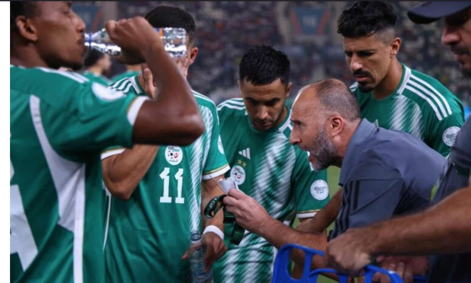 الامارات | الاعتداء على لاعبي الجزائر بعد الخروج من كأس الأمم الإفريقية (فيديو)