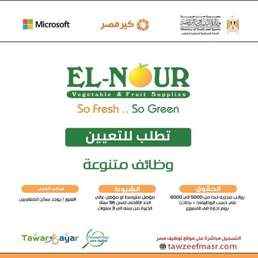 براتب 6000 جنبة.. وظائف خالية بشركة النور لتوريدات الفاكهة والخضروات للمؤهلات المتوسطة