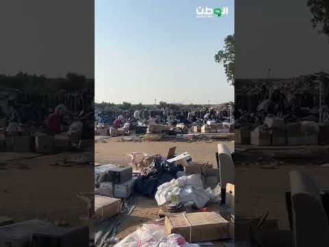 حراج أبو ريال قوارض وحشرات وتشوه بصري