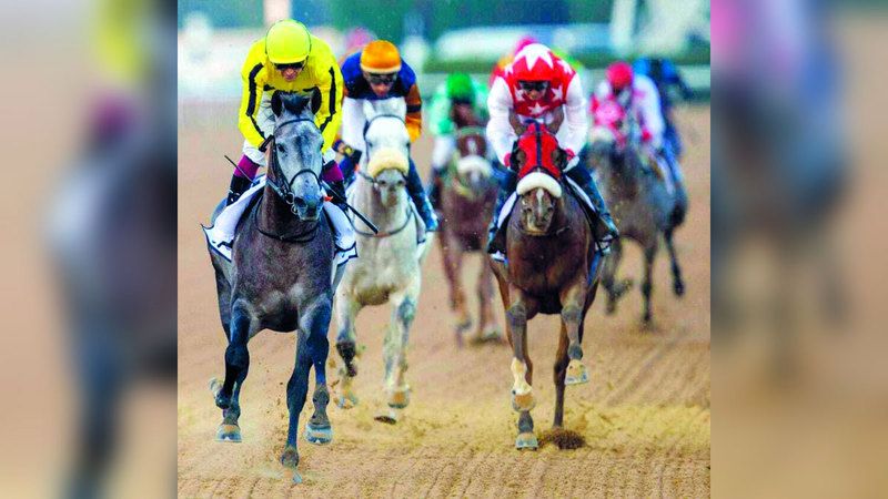 الامارات | «فاشن فرايداي» ينطلق غداً بمشاركة 100 خيل