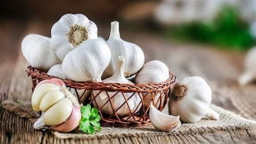 تناول الثوم على معدة فارغة يحمي قلبك ويخلصك من 5 أمراض خطيرة؟
