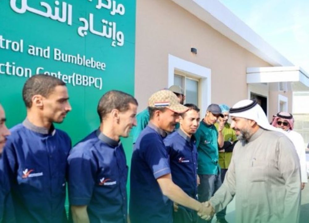 كيف يعمل "وقاء" على تحسين زراعة النباتات والحلول البيئية المستدامة؟