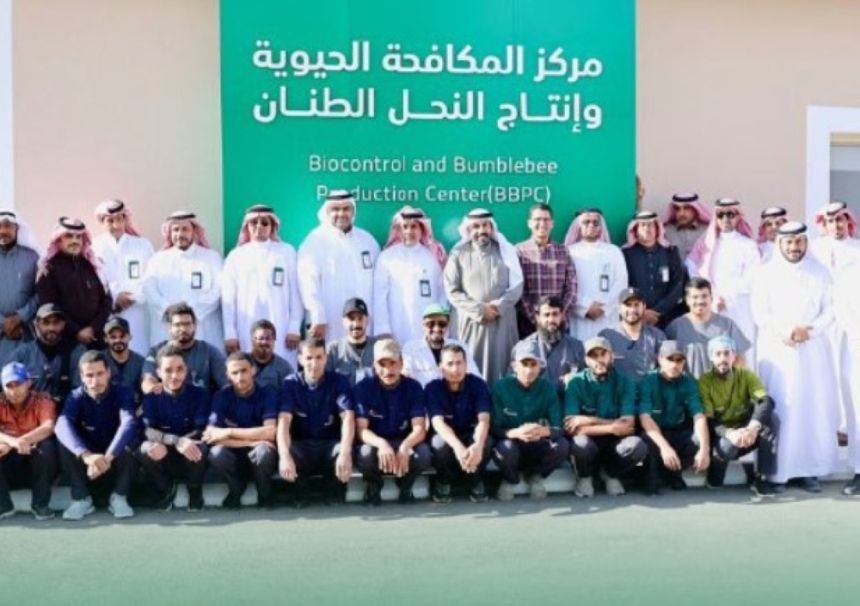 كيف يعمل "وقاء" على تحسين زراعة النباتات والحلول البيئية المستدامة؟
