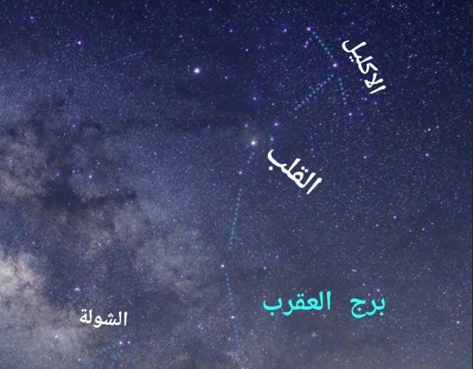 الامارات | "العقارب" يبشر بالأمطار الغزيرة خلال فبراير
