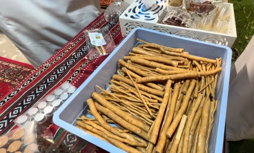 فيديو.. مختص لـ ”اليوم“ شجرة المسواك مشروع آمن واستثمار عالي الربح
