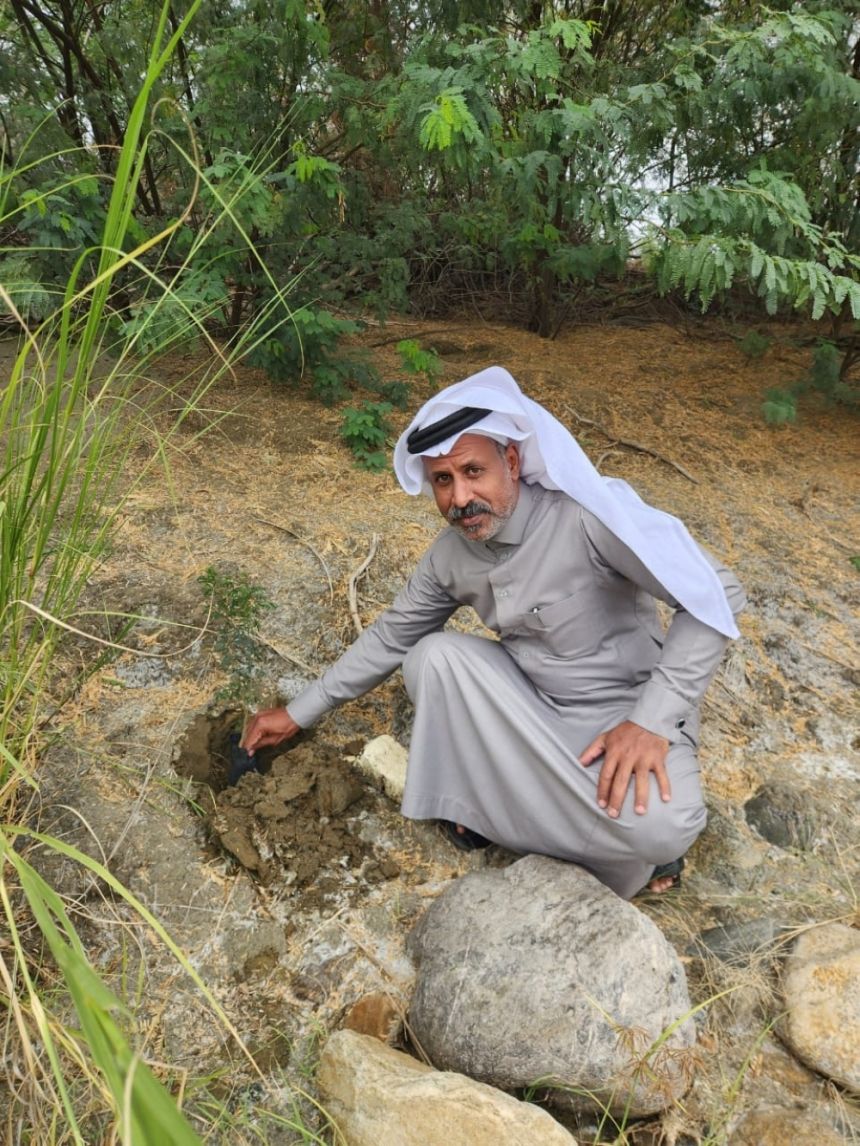 السمر والسلم.. أهم الأشجار المزروعة في حملة تشجير وادي العرج