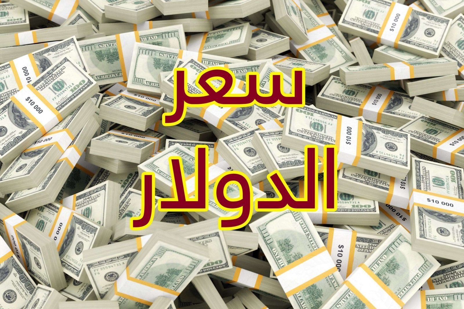 ال 100 دولار بكام النهاردة في السوق السوداء والبنك بعد انخفاض اسعاره
