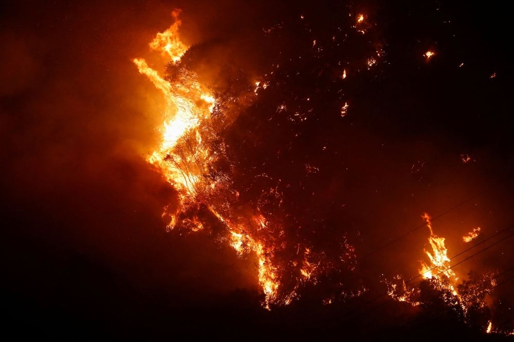 تشيلي.. حرائق الغابات تقتل 19 شخصًا على الأقل