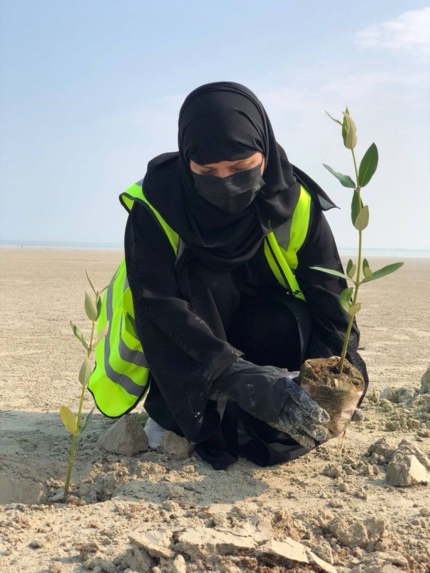 حملة تطوعية لزراعة 30 ألف شتلة "مانجروف" في الشرقية وجازان وينبع