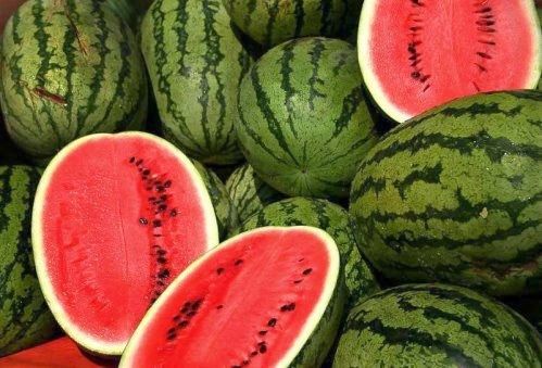 بطيخ البرهان .. شاهد القائد العام يتناول “البطيخ” مع المواطنين في بورتسودان