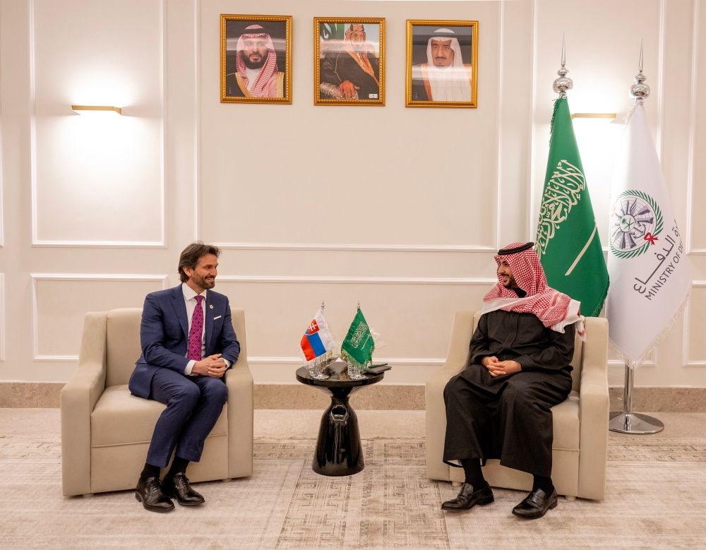 وزير الدفاع ونظيره السلوفاكي يبحثان التعاون في المجالات الدفاعية