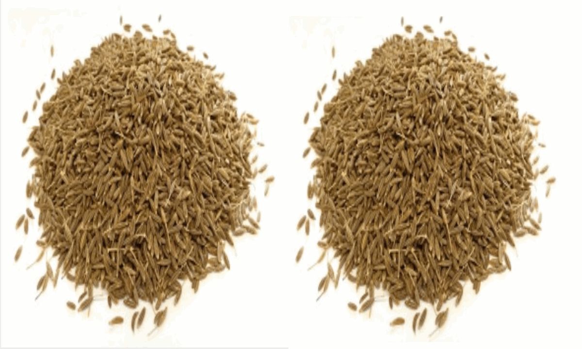 نعمة من الله .. تعرف على الفوائد المذهلة للكمون