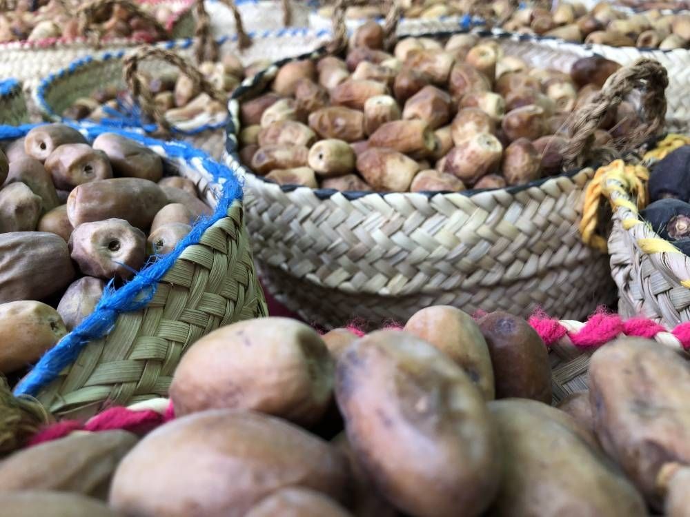 شرق نجران بلا سوق للتمور