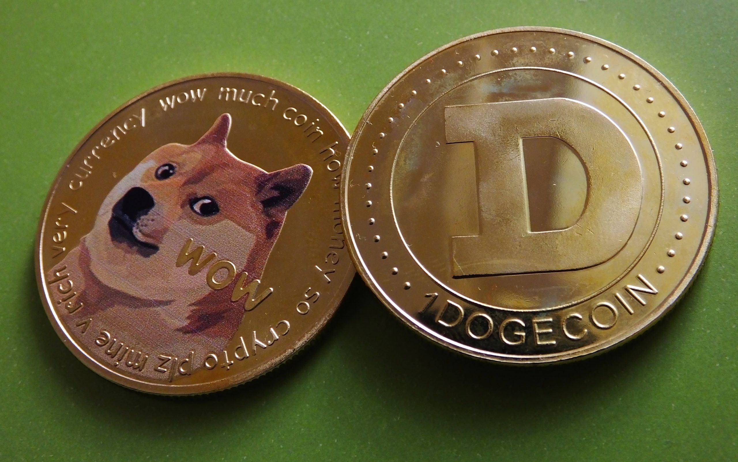 عملة Dogecoin لم تعد من بين العملات الرقمية العشرة الأوائل!