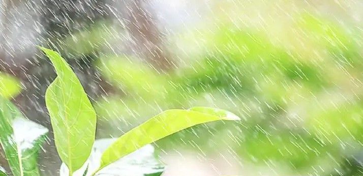 السعودية | “البيئة”: 7 مناطق تشهد هطول أمطار اليوم والشرقية الأعلى كمية بـ 53.6 ملم