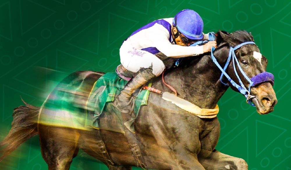 بفعاليات ثقافية ورقمية متنوعة.. وزارة الثقافة تشارك في كأس السعودية 2024