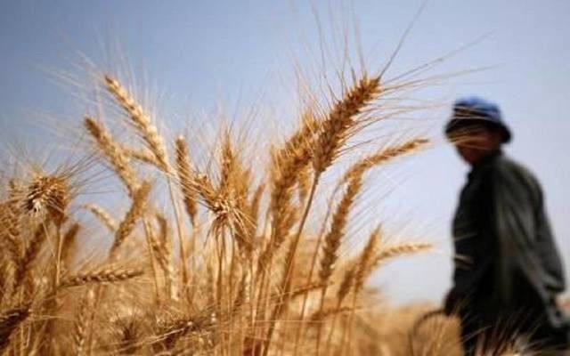 الإعلان عن مبادرة مشتركة بين الإمارات والبرازيل وكوبا لتعزيز الأمن الغذائي