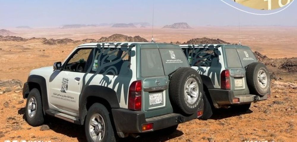 ضبط 18 مركبة و56 شخصًا في محمية "حرة الحرة"