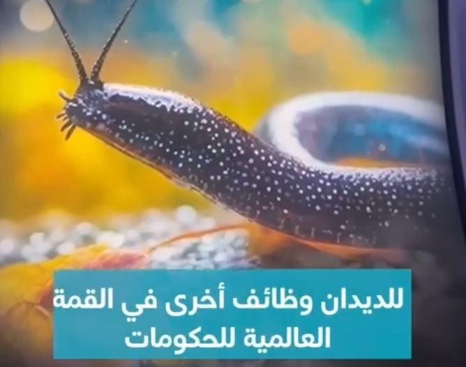 الامارات | "للديدان وظائف أخرى".. في القمة العالمية للحكومات.. فيديو