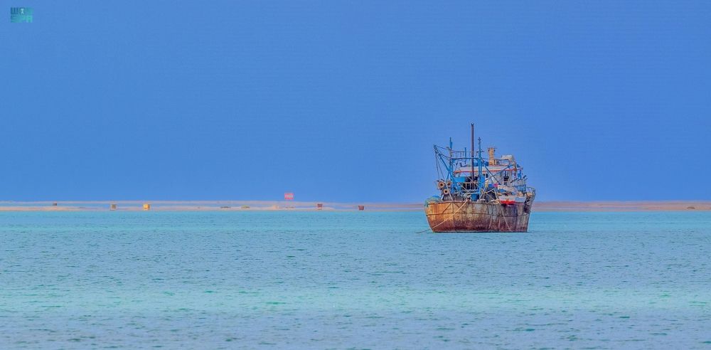 شاهد| الرايس.. شواطئ بكر تجذب عشاق المغامرات البحرية