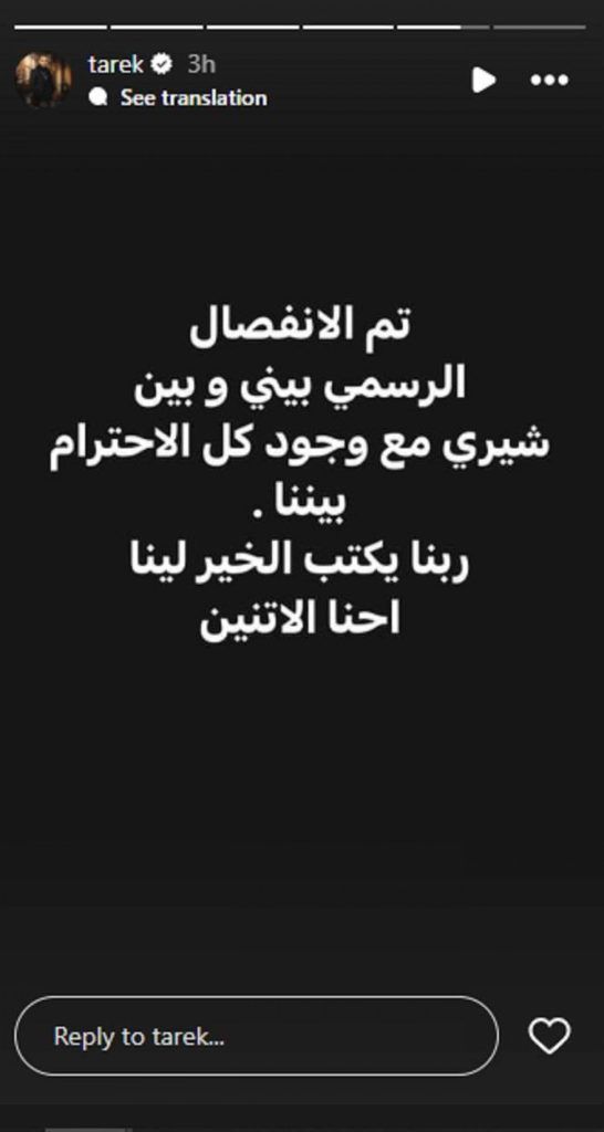 في عيد الحب.. شيري عادل وطارق صبري يعلنان انفصالهما