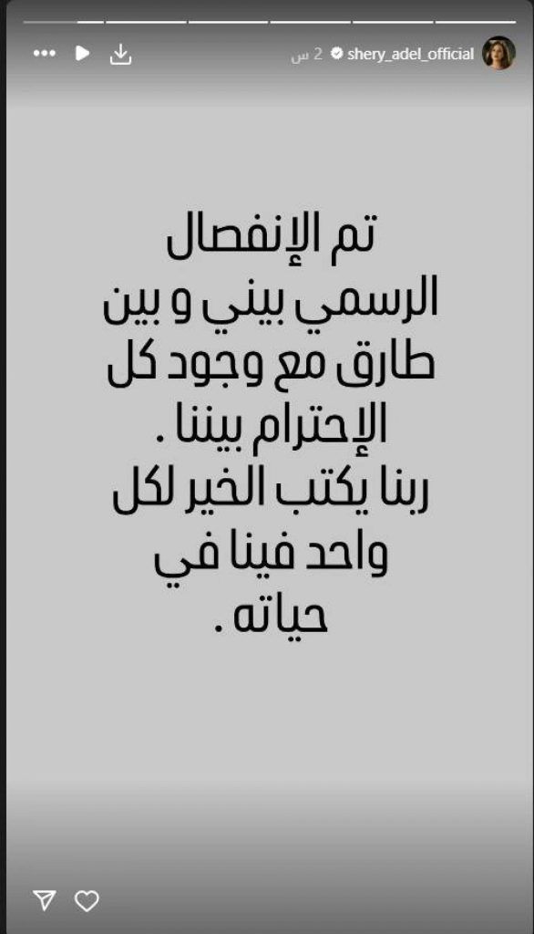 في عيد الحب.. شيري عادل وطارق صبري يعلنان انفصالهما