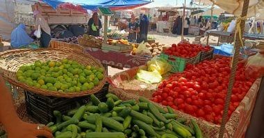 تعرف على أسعار الخضراوات اليوم السبت فى أسواق الجملة