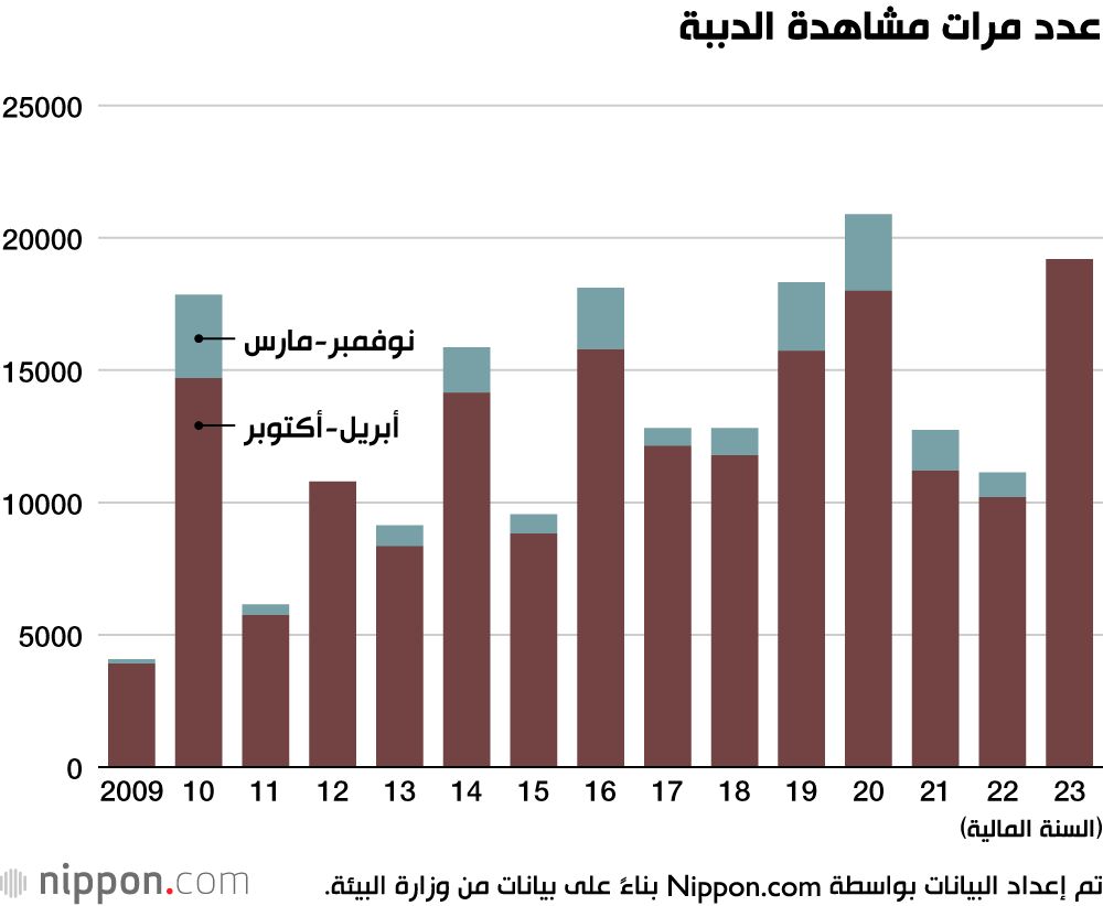 اليابان | زيادة غير مسبوقة في هجمات الدببة في اليابان