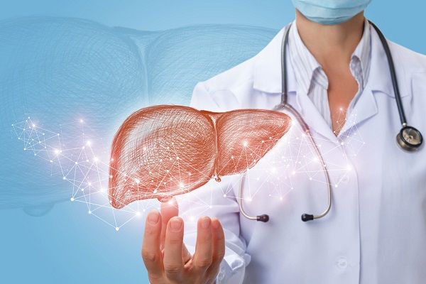 دعم صحة الكبد وزيادة قدرته على إزالة السموم
