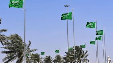 الخليج اليوم .. السعودية بعد الفيتو الأميركي: على مجلس الأمن القيام بدوره