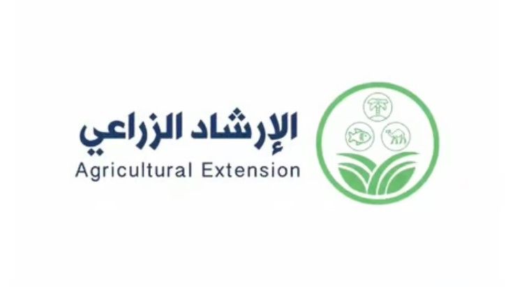 "الإرشاد الزراعي" ينصح مزارعي النخيل بالتخلص من بقايا محصول التمر التالف