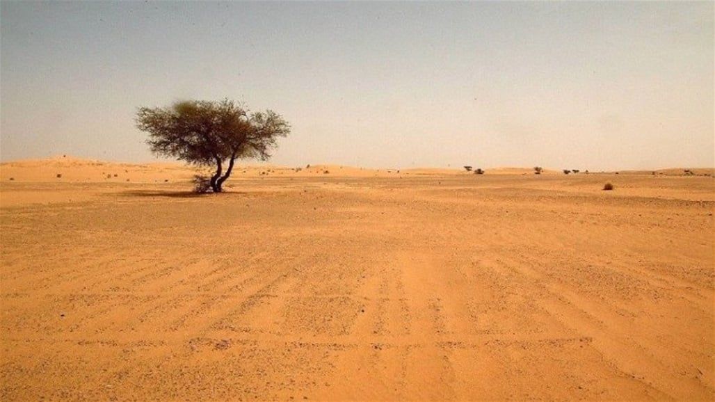 النجف تخسر 20% من مساحاتها الزراعية وتراهن على "طريق الحج القديم"