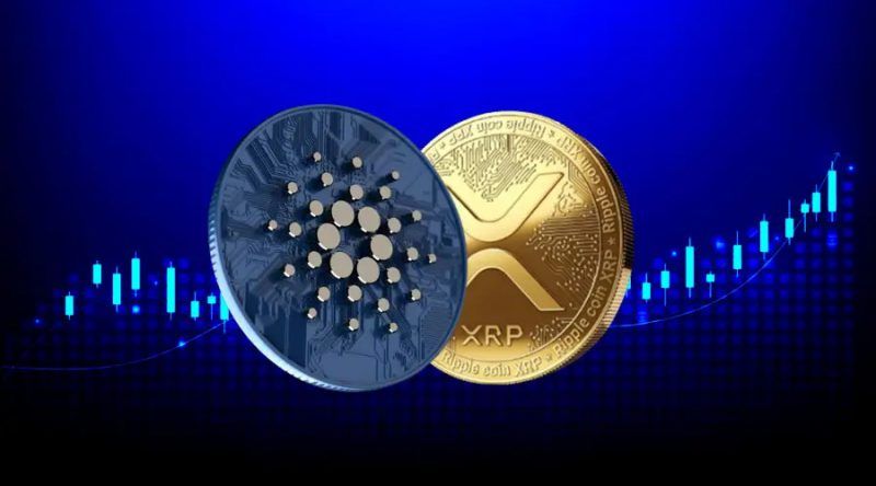 إعلان بينانس عن تحديث جديد يخص العديد من العملات البديلة بما في ذلك الريبل وكاردانو