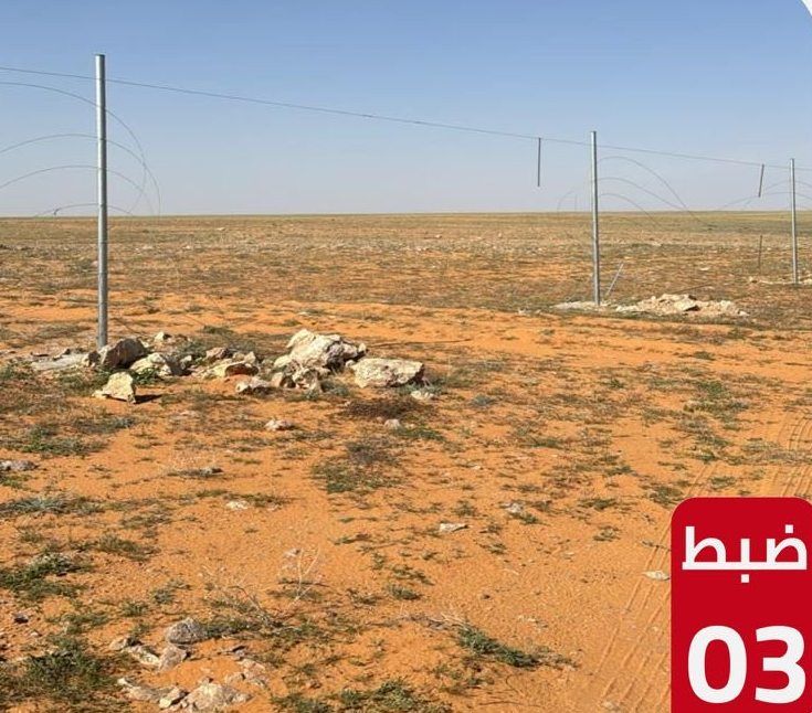 السعودية | ضبط 3 مخالفين لنظام البيئة لارتكابهم مخالفتي قطع المسيجات ودخول مناطق محظورة في محمية الإمام تركي بن عبدالله الملكية