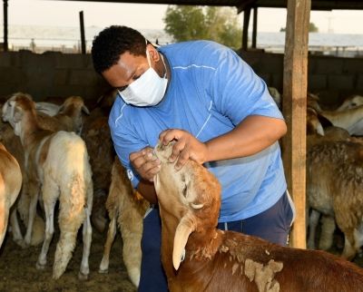 إخلاء طبي لمواطن من مصر