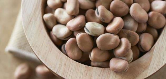 الفول طعام غني بالفوائد لصحة الدماغ والذاكرة للأطفال