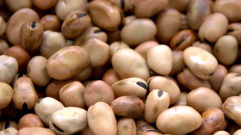 ارتفاع الفول والعدس وتراجع الدواجن بالأسواق اليوم (موقع رسمي)