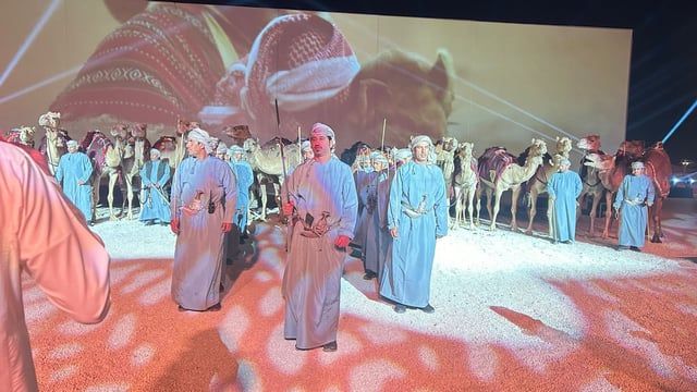 بالفيديو ..."الخليج 365" ترصد استعراض هجن عُمان بـ"جادة" حائل.. والزوار يتفاعلون