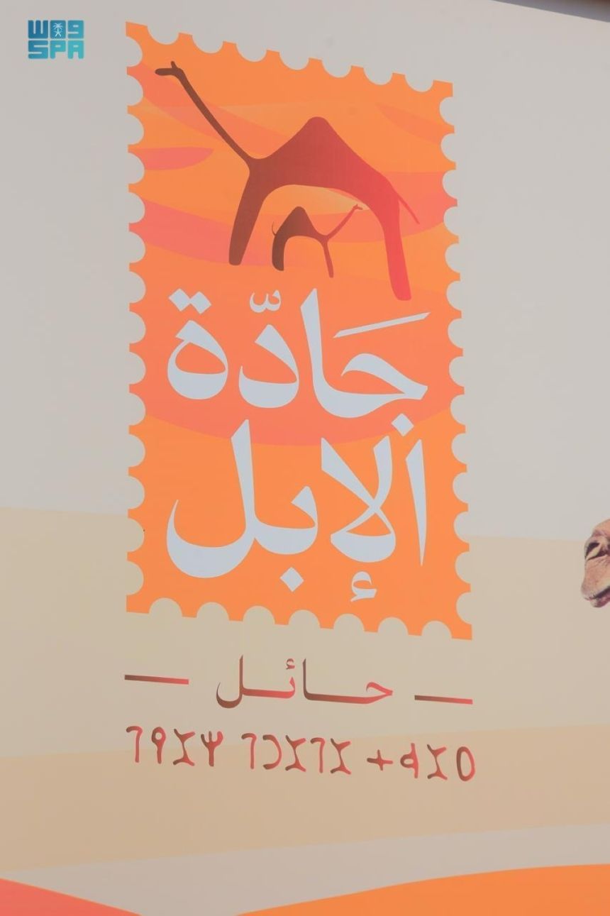 حائل.. مهرجان "جادة الإبل" يحتفي بالخط الثمودي