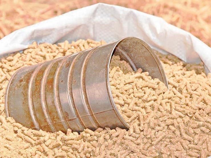 غرفة الجيزة: 5 آلاف جنيه تراجعا في العلف بعد انخفض الدولار بالأسواق