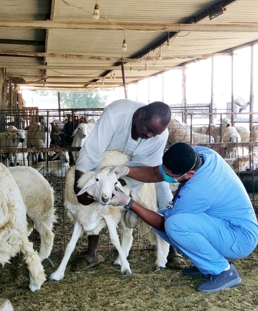 جولات رقابية مكثفة على أسواق النفع العام والمسالخ برابغ استعدادًا لشهر رمضان