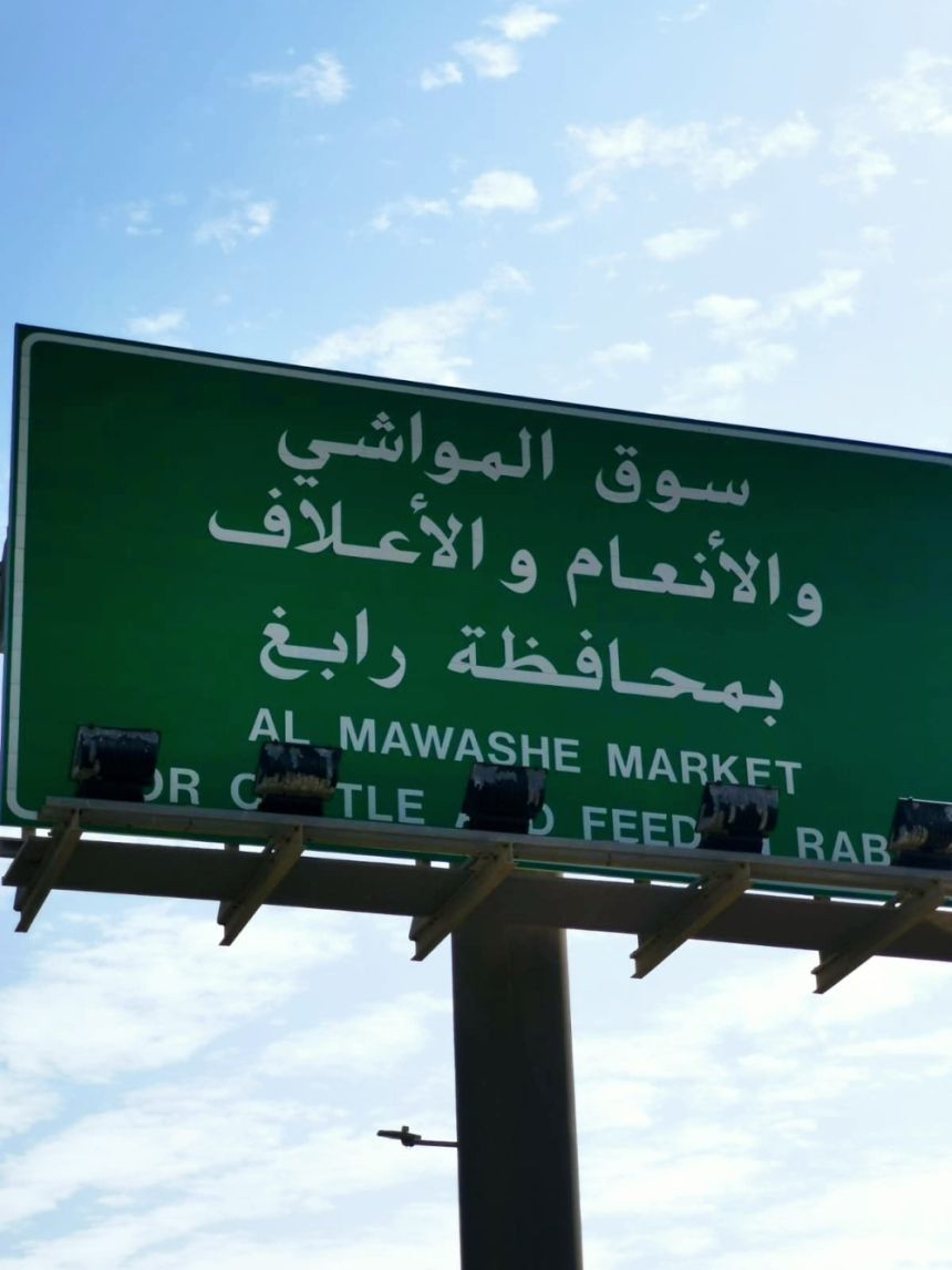 جولات رقابية مكثفة على أسواق النفع العام والمسالخ برابغ استعدادًا لشهر رمضان