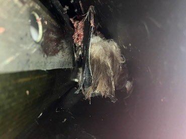 اصطدام طائر بجناح طائرة الخطوط السعودية يعيدها لمطار لندن.. صور