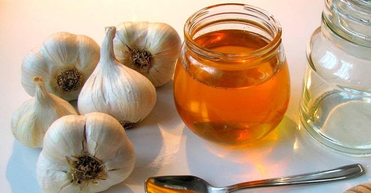 الثوم والعسل: الوصفة والفوائد والاستخدامات