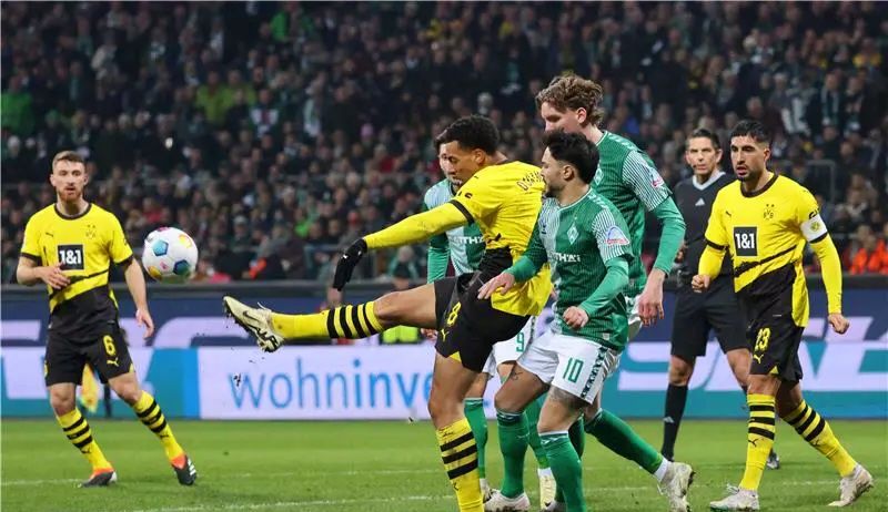 دورتموند يهزم فيردر بريمن في الدوري الألماني