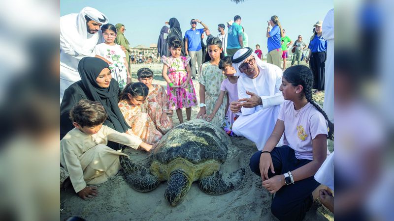 الامارات | 800 سلحفاة أنقذتها «بيئة أبوظبي» وأعادتها إلى موائلها الطبيعية
