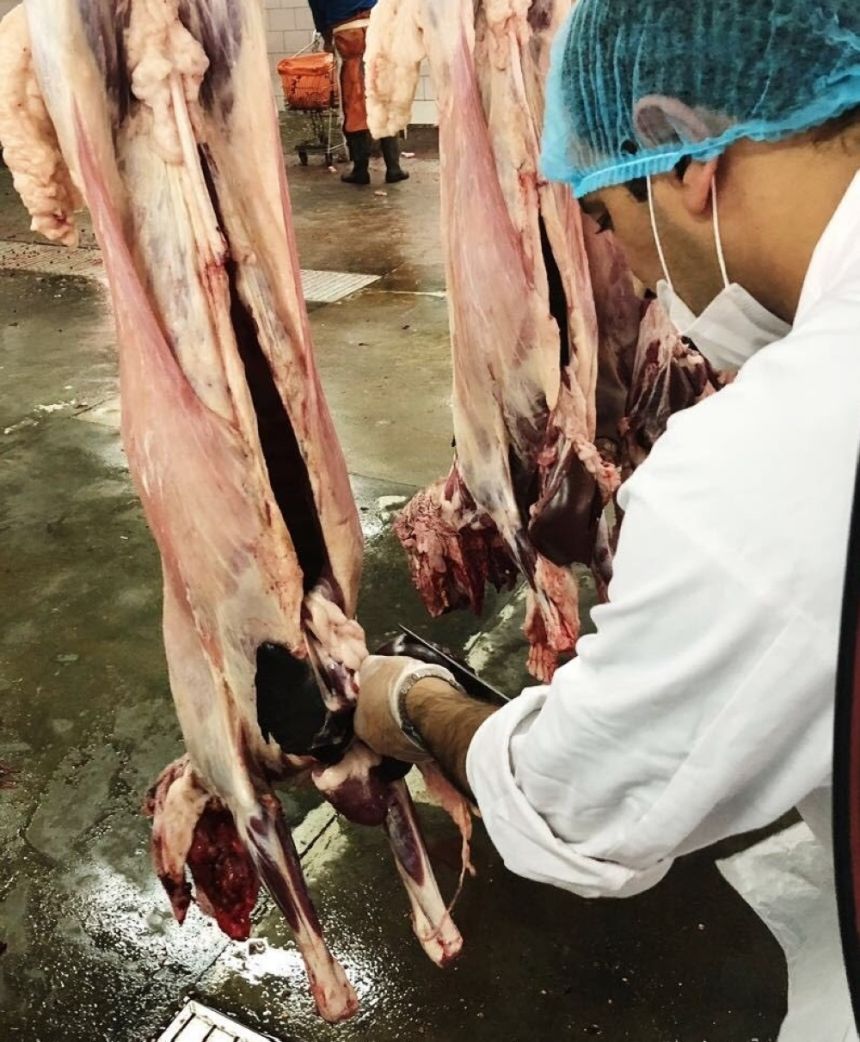 أكثر من 2500 عامل وبيطري لضمان جودة الخدمات في مسالخ الرياض